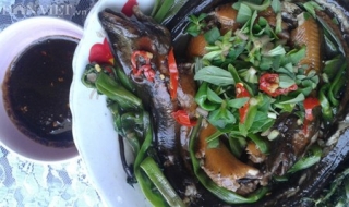Dân dã món rau ngổ um lươn miền quê sông nước