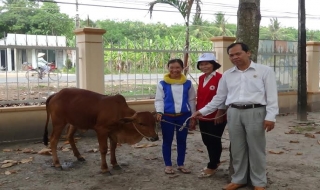 Điểm tin địa phương