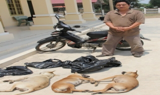 Bắt quả tang đối tượng trộm chó