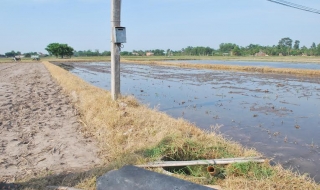 Bến Cầu: Một trường hợp chết nghi điện giật