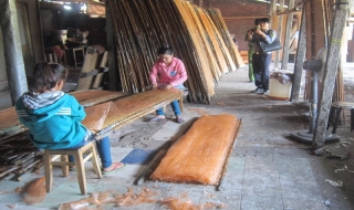 An toàn vệ sinh thực phẩm- kiểm hoài vẫn... sai hoài