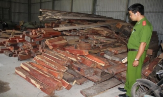 Bắt vụ vận chuyển trái phép gần 6 mét khối gỗ trắc