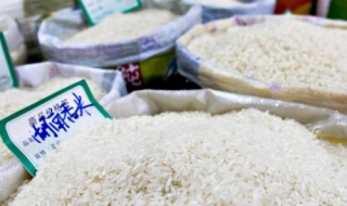 Bộ Y tế lên tiếng về thông tin ‘gạo giả’