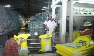 Việt Nam tổ chức Diễn đàn kinh doanh lương thực, nông nghiệp ASEAN