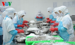 Xuất khẩu 2,4 tỷ USD thủy sản, Hoa Kỳ tiếp tục là thị trường lớn nhất