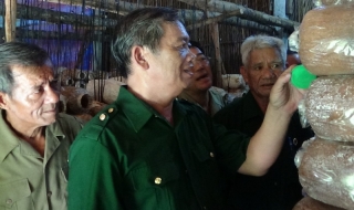 Giới thiệu mô hình làm kinh tế giỏi cho cán bộ, hội viên