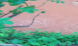 Nước sôi, cá chết quanh khu vực ‘giếng khoan phun nước cao 20m'