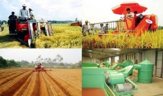 Chính sách tín dụng mới phục vụ phát triển nông nghiệp