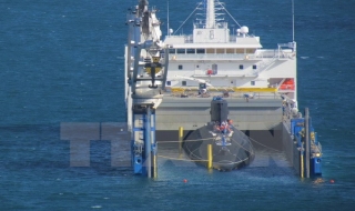 Tàu ngầm lớp Kilo Đà Nẵng đã vào vịnh Cam Ranh an toàn