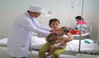 Bến Cầu: Đàn ong mật tấn công nhà dân, đốt 5 người