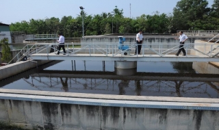 Phạt 400 triệu đồng một công ty gây sự cố môi trường