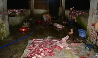 Tân Châu: Kiểm tra, xử lý các hoạt động giết mổ gia súc trên địa bàn xã Tân Hà