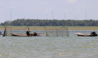Đánh bắt cá vào mùa sinh sản