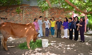 CLB Nữ từ thiện tỉnh Tây Ninh: Trao bò sinh sản cho phụ nữ nghèo huyện Tân Châu