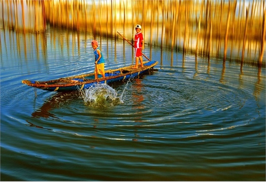 Cẩm nang khám phá cảnh đẹp mê hồn ở Phá Tam Giang