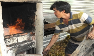 Một người dân muốn góp sức diệt lục bình
