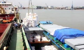 Việt Nam thắng thầu 450.000 tấn gạo xuất sang Philippines