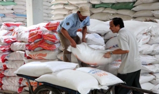 Gạo Việt Nam cần nhanh chóng có thương hiệu quốc gia