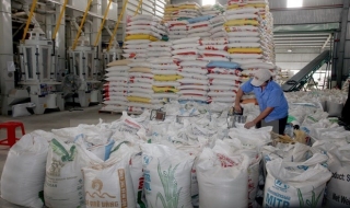 Indonesia muốn mua 1,5 triệu tấn gạo của Việt Nam và Thái Lan