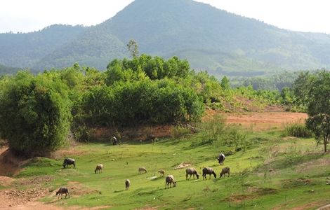 Mênh mang Việt An