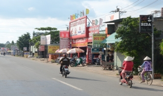 Đất lúa còn nhiều… trên giấy