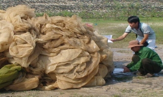 Tiêu hủy phương tiện đánh bắt thủy sản trái phép