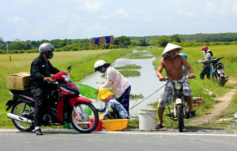 Rủ nhau đi bắt cá con