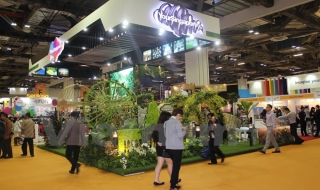 Doanh nghiệp lữ hành Việt Nam chủ động hội nhập Cộng đồng ASEAN
