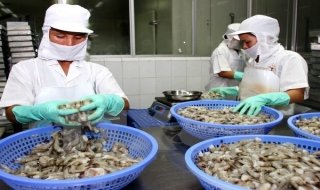 Thúc đẩy hợp tác kinh tế, thương mại Việt Nam-Triều Tiên