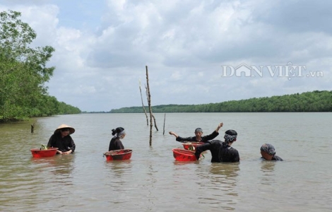 Dạo chơi và mò cua bắt cá ở Vàm Sác