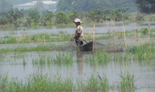 Không lụt, người vui kẻ rầu