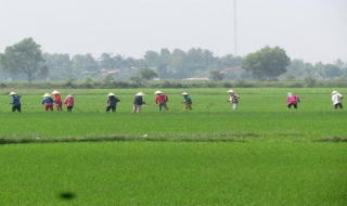 Bến Cầu: Tiêu chí xây dựng NTM ở các xã đạt thấp