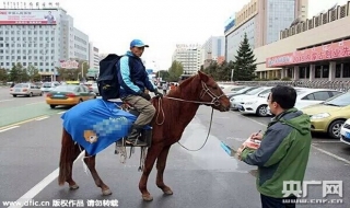 Công ty thương mại điện tử Trung Quốc dùng ngựa để đi giao hàng