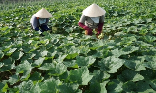 Phải bảo đảm từ “gốc”