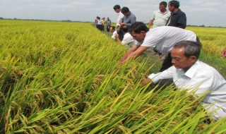 Nông nghiệp, nông dân và nông thôn