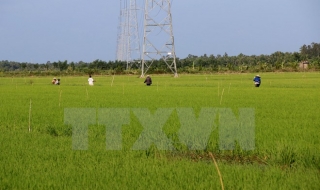 Nhật Bản nghiêm túc triển khai thoả thuận nông nghiệp với Việt Nam