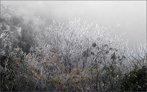 yen bai xuat hien bang gia, nhiet do xuong 4 do c hinh 0