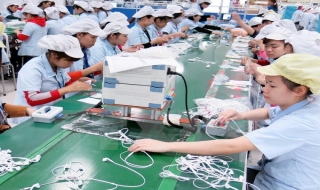 FTA Việt Nam-Hàn Quốc chính thức có hiệu lực từ ngày 20-12