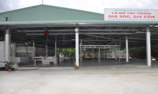 Bài 1: Lò mổ đạt chuẩn, vốn đầu tư gần 10 tỷ đồng...“bỏ không”