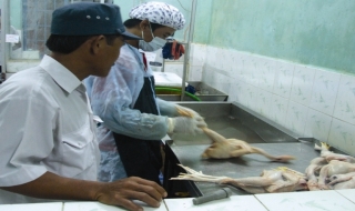 Bài cuối: Cần chấn chỉnh