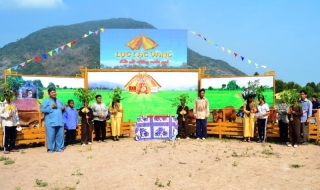 Chương trình Lục lạc vàng: Tiếp tục tặng bò cho các hộ nghèo ở huyện Dương Minh Châu