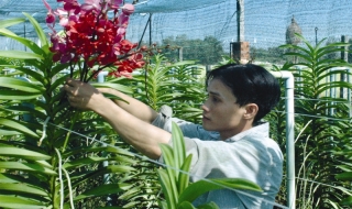 Khoảng cách giữa chủ trương và thực hiện