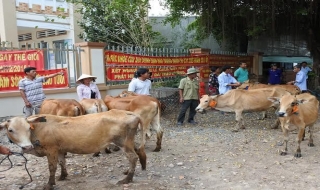 Bến Cầu: Trao vốn hỗ trợ hộ nghèo phát triển kinh tế