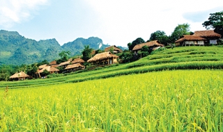 Nghi lễ trước hôn nhân của người Mường