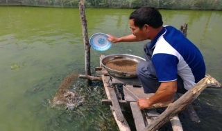 5 năm xây dựng Nông thôn mới ở huyện Dương Minh Châu: Chú trọng hiệu quả, thực chất