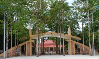 Trưởng thành từ  khói lửa chiến tranh