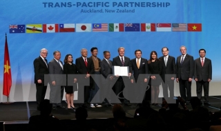 Việt Nam-Mexico lập Uỷ ban hợp tác kinh tế, thương mại và đầu tư