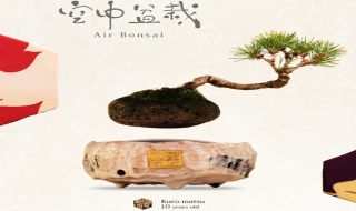 Cận cảnh cây Bonsai bay “độc, dị” của người Nhật