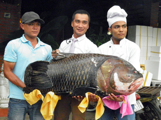 ca-khung-2.jpg ca-khung-2.jpg