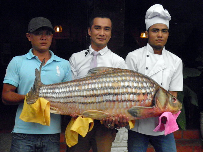 ca-khung-5.jpg ca-khung-5.jpg